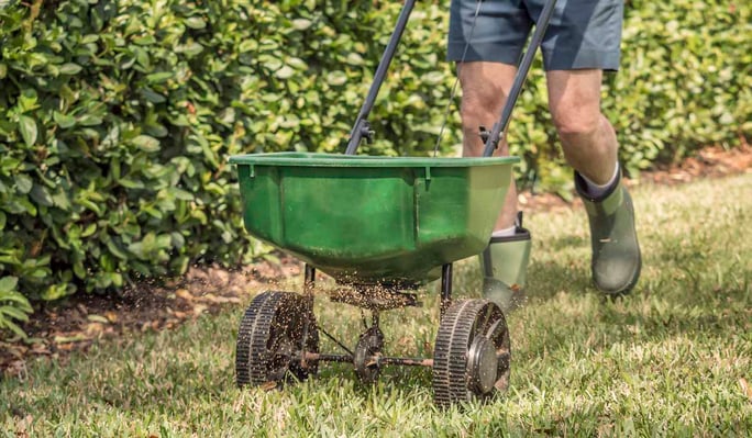 Fertilize your lawn