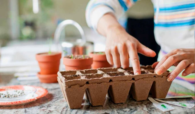 Start sowing seeds indoors