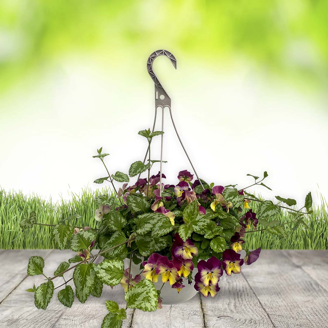 11-inch Early Spring Hanging Basket