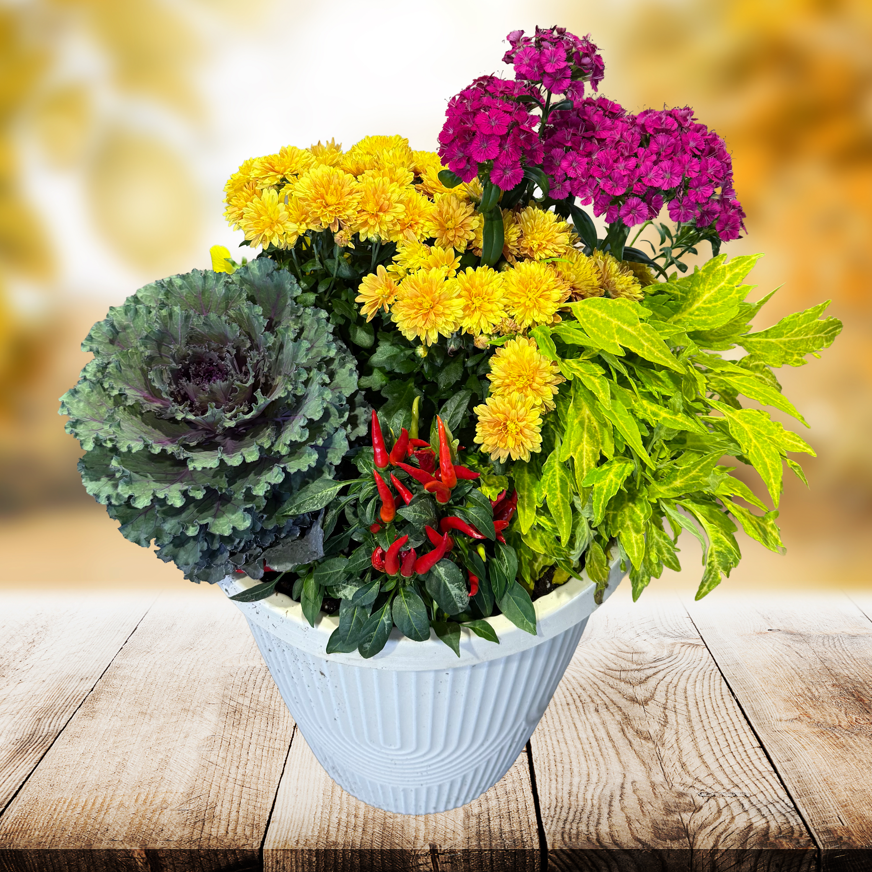 14in_fall_planter