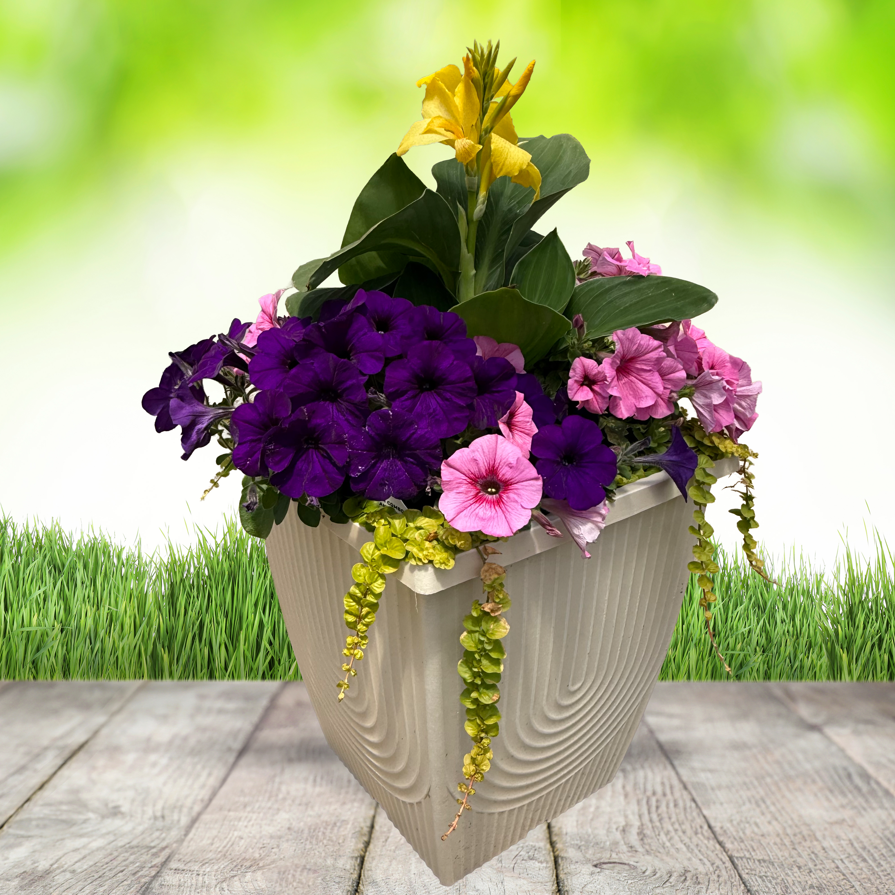 16in Premium Combo Planter