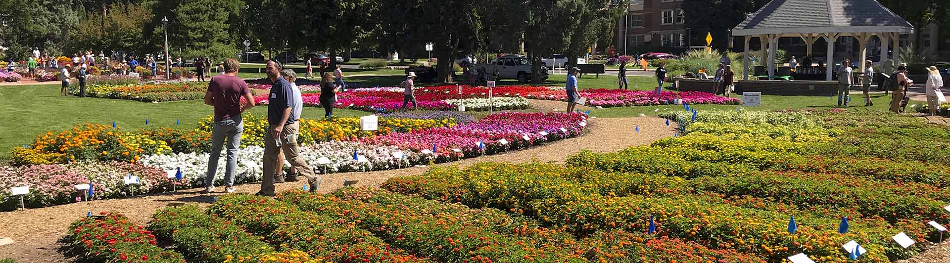 CSU Flower Trial Garden 2022