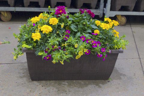 Patio Deck Planter