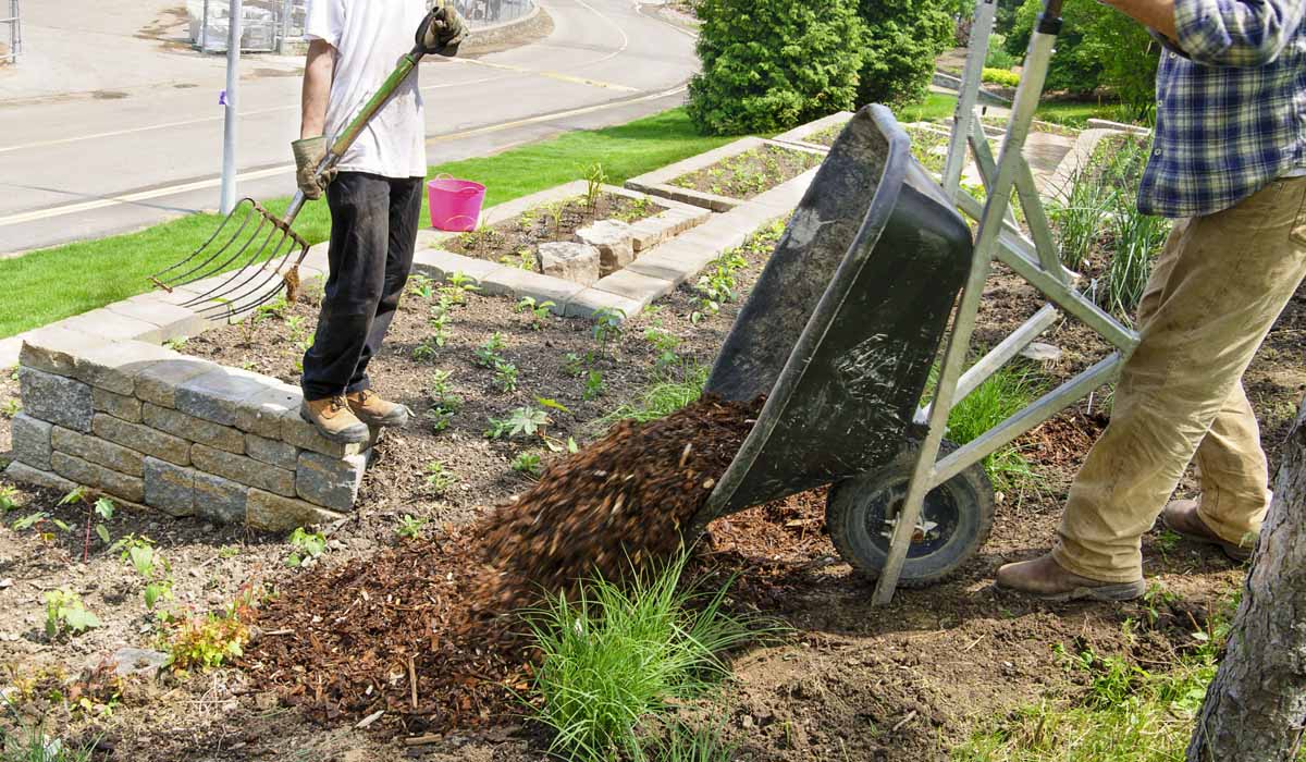 How To Use Mulch For Landscaping