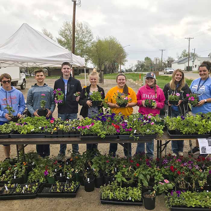 Weld Central High School FFA Flower Sale