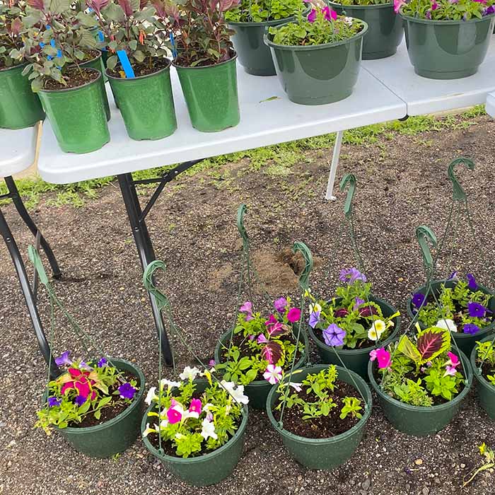 Weld Central High School FFA Flower Sale