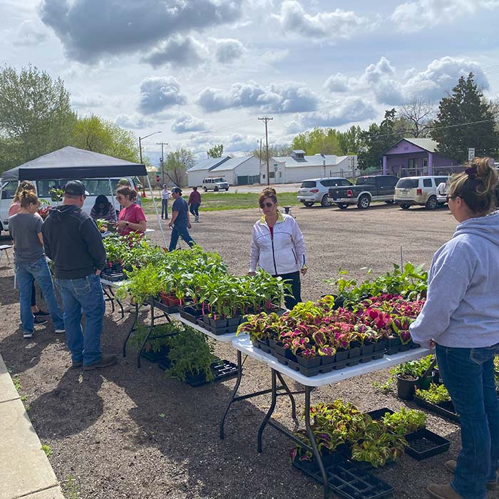 Weld Central High School FFA Flower Sale